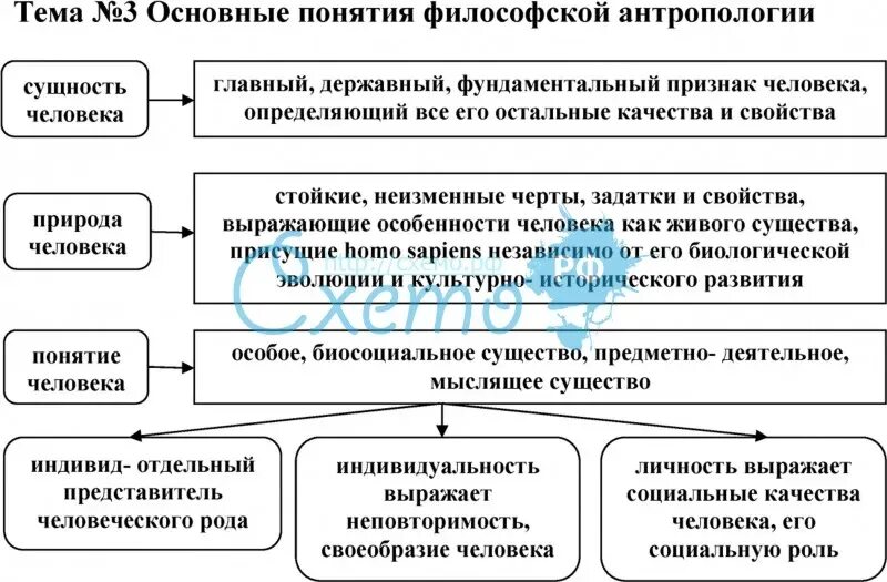 Сущность развития философия. Антропологическая философия. основные понятия филолософской антропологии. философская антропология. антропология схема.