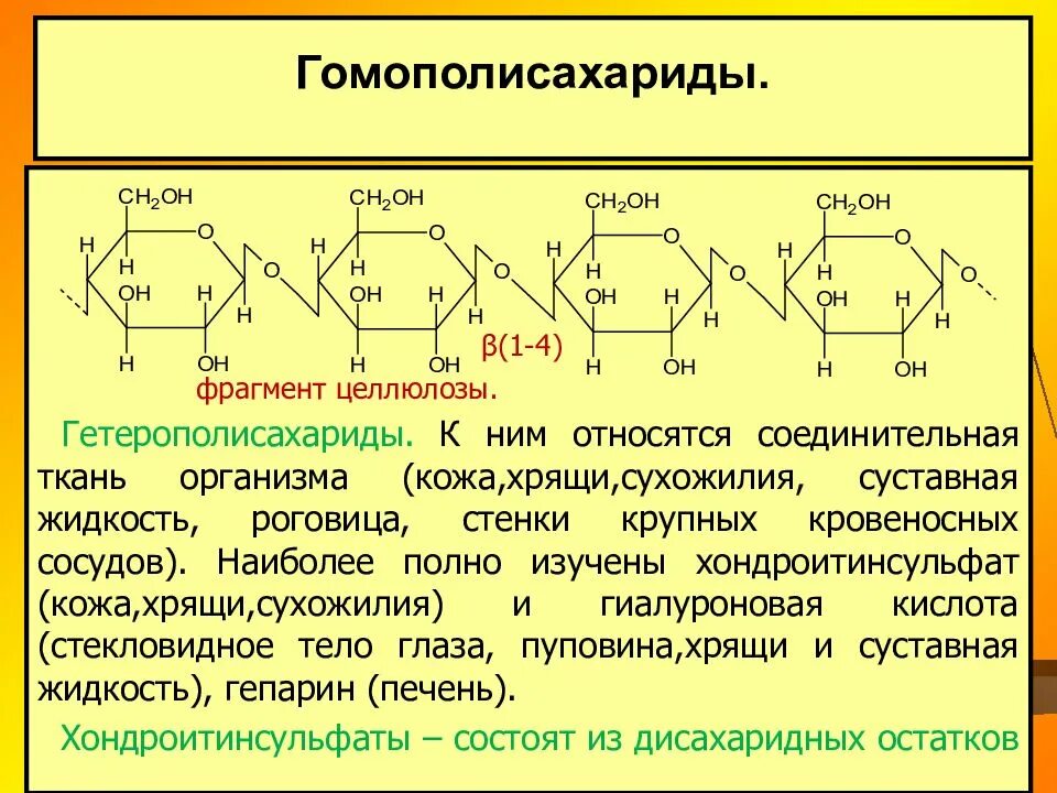 Гетерополисахариды соединительной ткани. Гетерополисахариды соединительной ткани