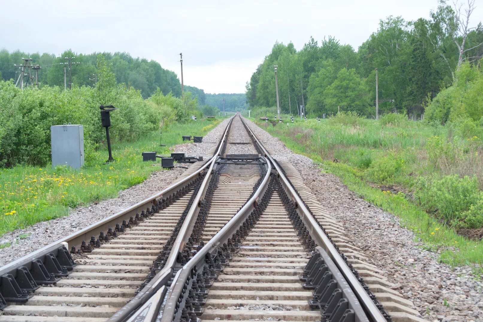 Стрелок железная дорога. Станция Вад Мордовия. Стрелка узкоколейная. Железнодорожная стрелка. Стрелки на железной дороге.