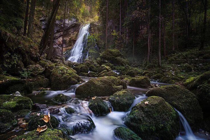 Лесной водопад фото
