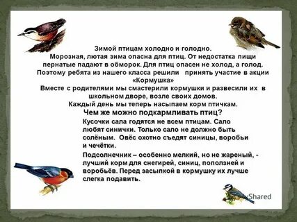 Сочинение на тему птицы