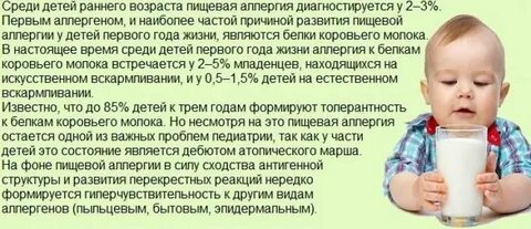 Коровий белок при грудном вскармливании