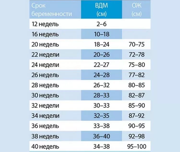 Сроки беременности размеры живота. Сроки беременности размеры живота. 12 недель беременности размер живота. Окружность живота при беременности по неделям норма таблица. Живот на 4 месяце беременности двойней.