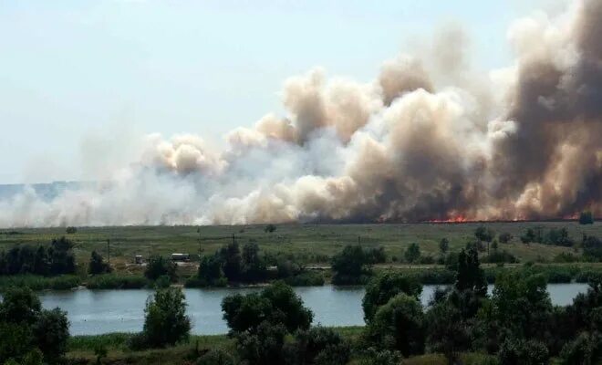 Вилларибо и виллабаджо реклама. Горели конопляные поля стишок. Анекдот горели конопляные поля. В Вилларибо горят конопляные поля. Стояло жаркое засушливое лето горели конопляные поля.