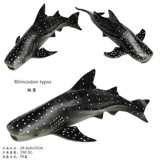 Whale shark, Size, Diet, & Facts