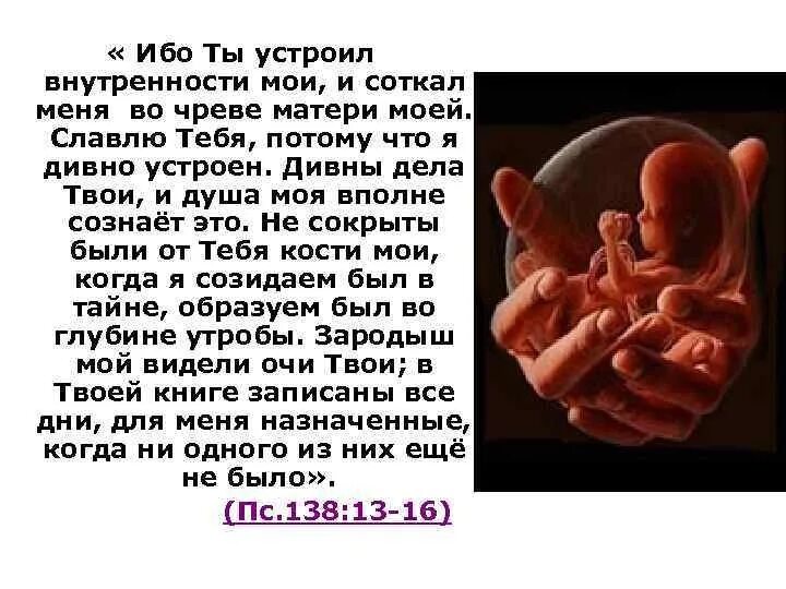 Притча про младенцев в утробе. Я соткал тебя во чреве матери. Ибо ты устроил внутренности Мои и соткал меня во чреве матери моей.