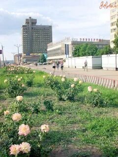 Ул луганская 53 2