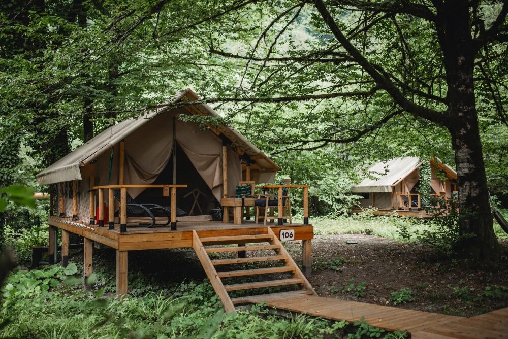 Garuda glamping abkhazia. Глэмпинг лес Сочи. Гаруда глэмпинг Абхазия. Лес глэмпинг село Чвижепсе.