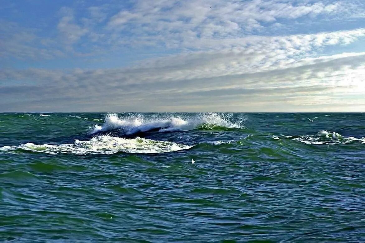 морской ветерок. ветер книги купить. дувший с моря ветер усиливался. ветер с моря был. с моря дул влажный холодный ветер разнося по степи задумчивую мелодию.