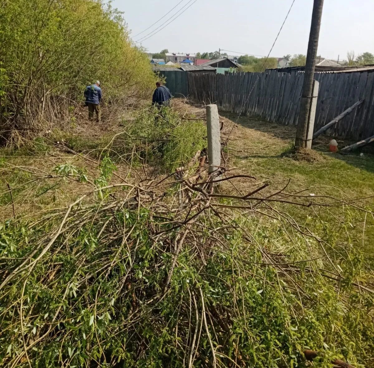 Погода камыши курганская область. Погода камыши курганская область