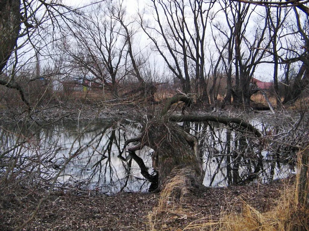 Погода село новый усмань. Новая Усмань. Климат Новоусманского района. Погода в новой Усмани. Прогноз погоды новая Усмань.