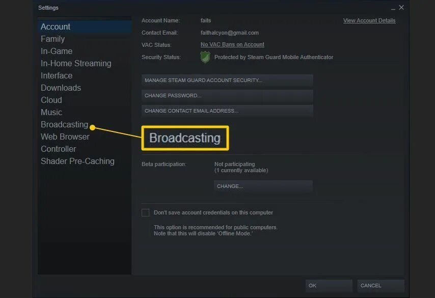 Как отключить игру в стиме. Настройка трансляции в steam. steam клиент. как отключить трансляцию в стиме.