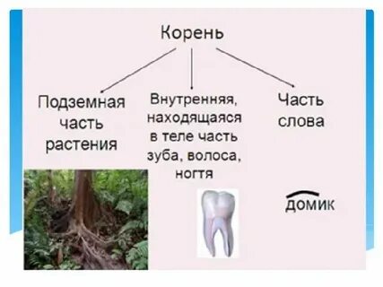 10 это какой корень