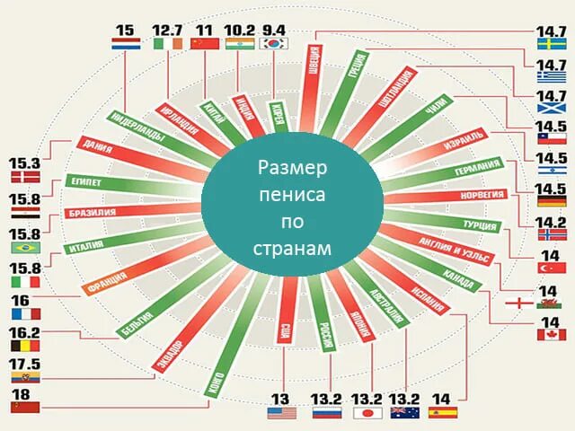 Средний размер половового. Статистика размеров мужских достоинств. размер пениса по странам. размер члена в разных странах. средний размер члена по странам.