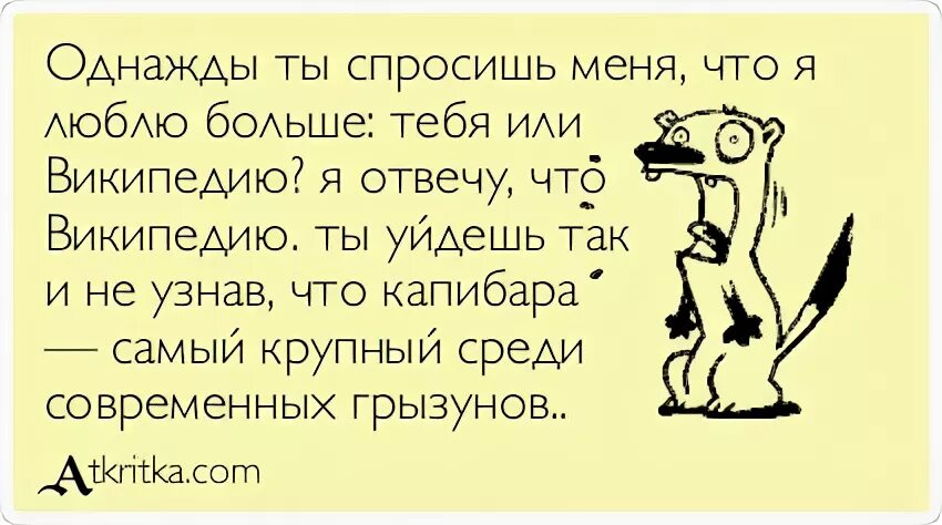 А что ты у меня спросишь