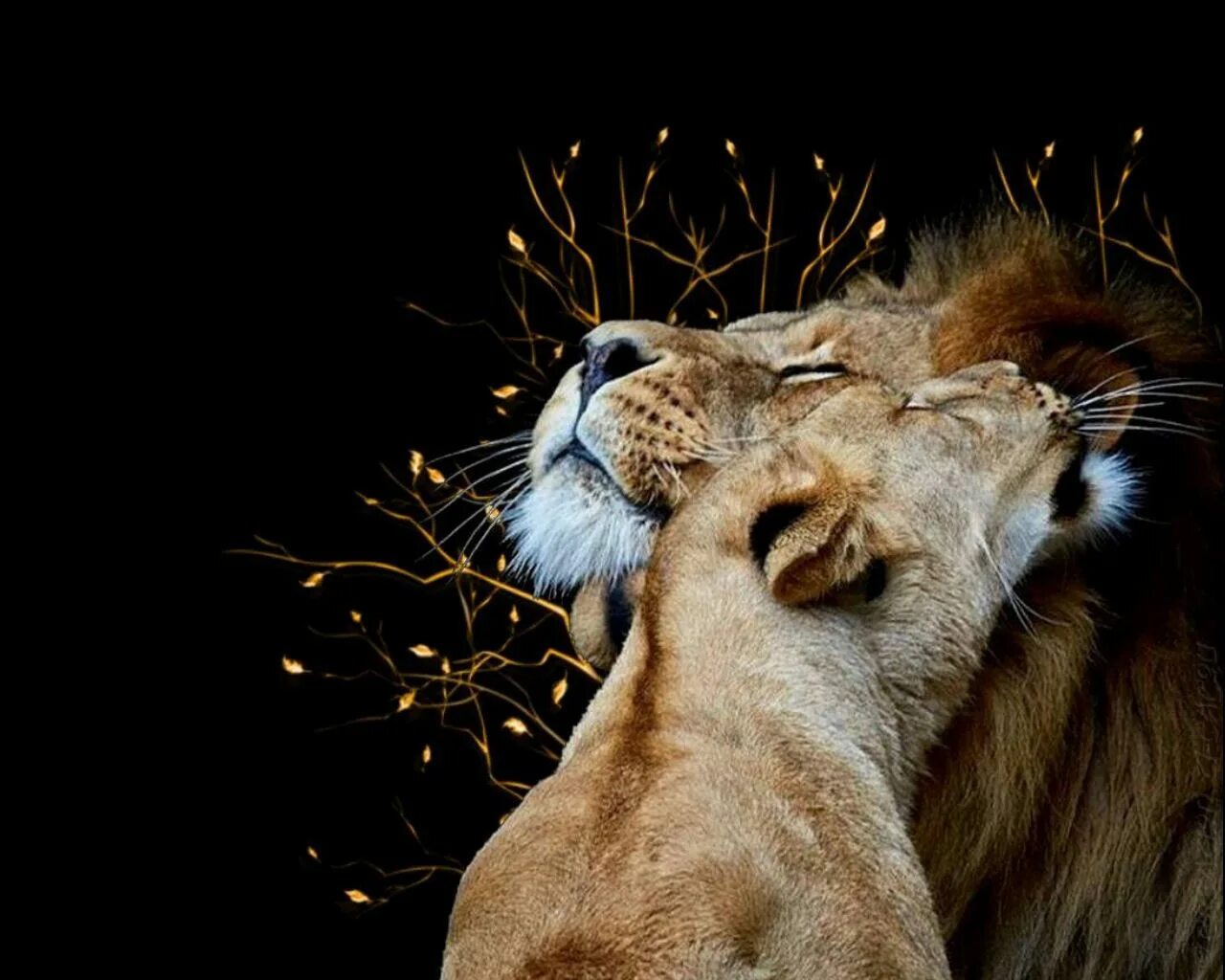 любить и быть вместе. даже если весь мир. вместе даже если мир против нас. вместе даже если мир против нас. скоро будем вместе картинки.