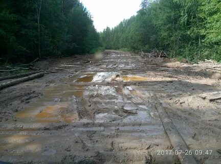 Погода оньмесь