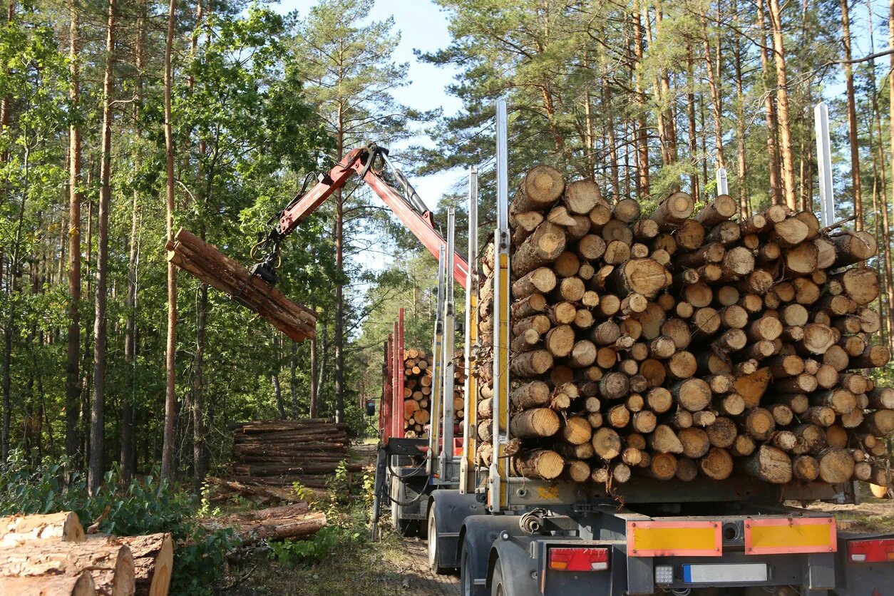 Problems logging