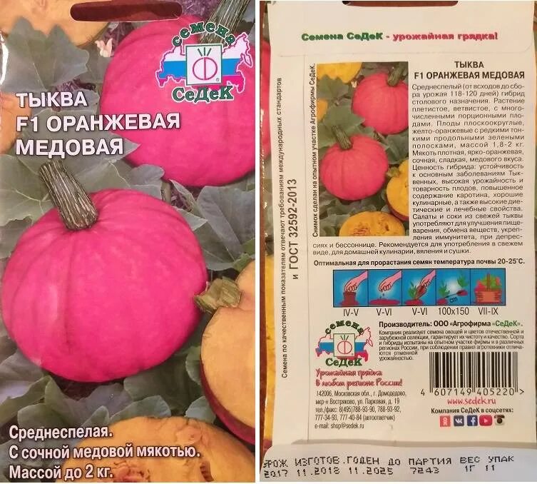 Тыква медовая крошка описание сорта. Тыква крупноплодная крошка. тыква крупноплодная сорта. тыква оранжевая медовая. сорт тыквы медовая крошка.