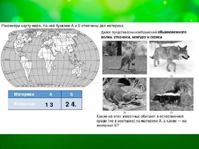 Материки и животные ВПР. На ней буквами а и б отмечены два материка.. Материки на карте ВПР. Впр окружающий мир карта с материками