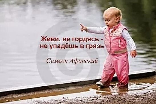 Волк прощается. С днем рождения брат семья гордится тобой. Волк терпит. Ничем не гордился. Гордость человека унижает.