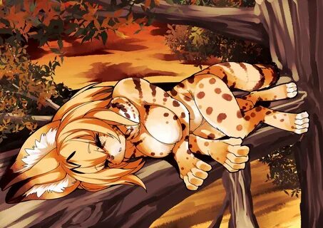 Kemono Friends.