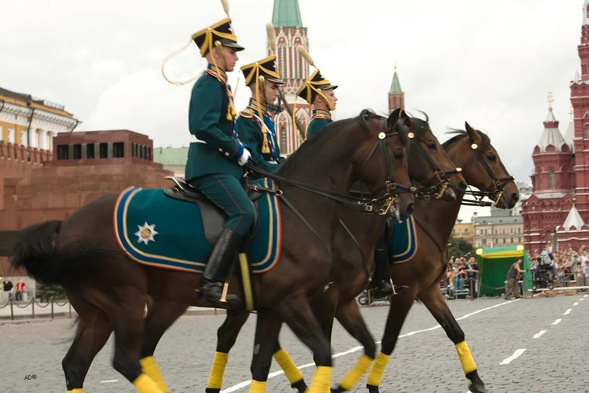 Парад лошадей. Пара лошадей. Конный парад на красной площади. Лошади на параде Победы.
