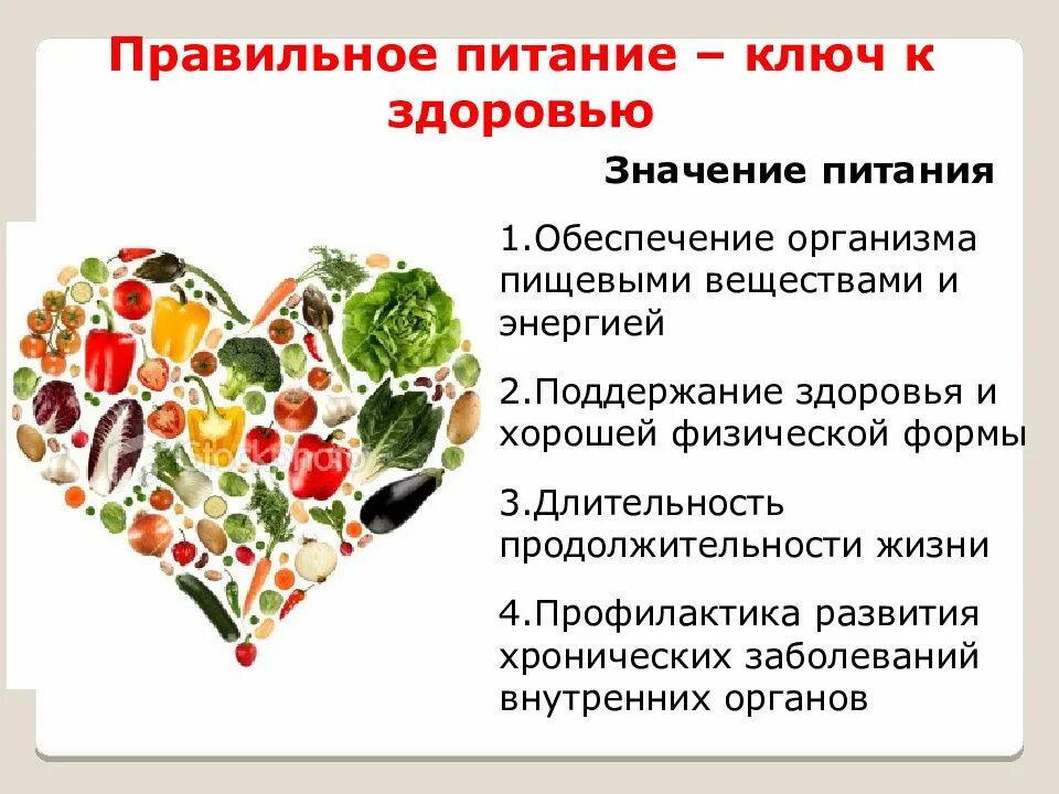 Большое значение для здоровья. Значение правильного питания. важность правильного питания. значимость здорового питания. роль правильного питания в жизни человека.