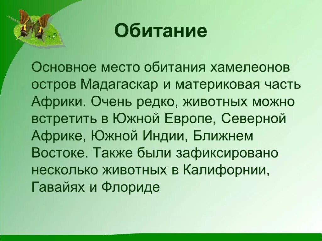 Небольшой рассказ про. Хамелеон доклад 3 класс. Рассказ про хамелеона. Хамелеон презентация. Презентация про хамелеона 1 класс.