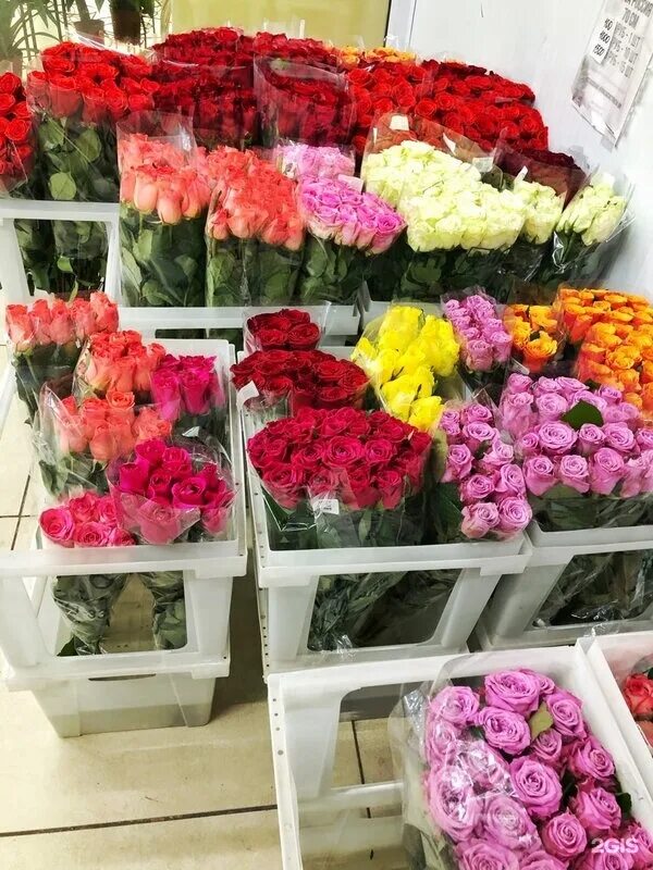 Купить розы в цветочном магазине. Розы в цветочном магазине. Оптовый магазин цветов. Оптовая база цветов.