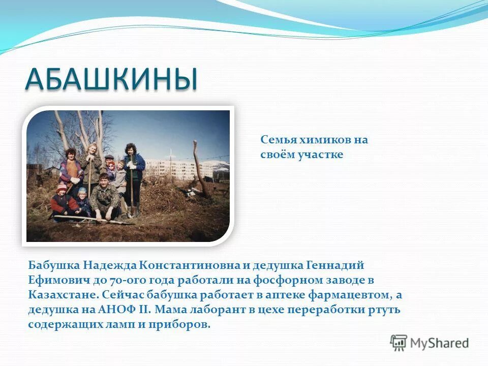 семья химиков