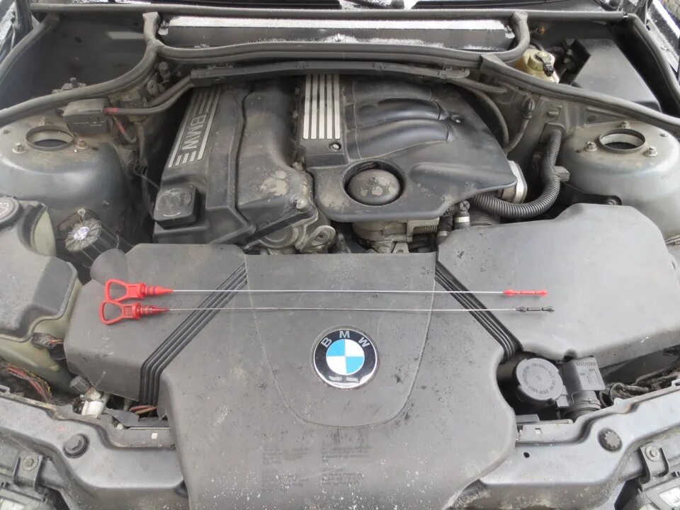 Щуп в BMW 318i. Щуп БМВ 116i. Щуп на BMW e90 n46. Щуп BMW n20. Уровень масла бмв х3