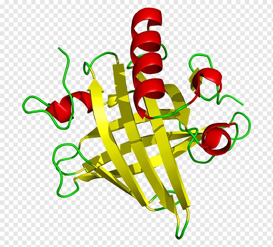 Белок глобулин. Альбумин структура белка третичная. Третичная структура белков. Третичная структура белка. Бета структура белка.
