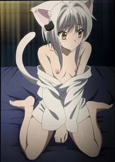 Koneko’s 'tactical' treatment treats Issei to tiny tits.