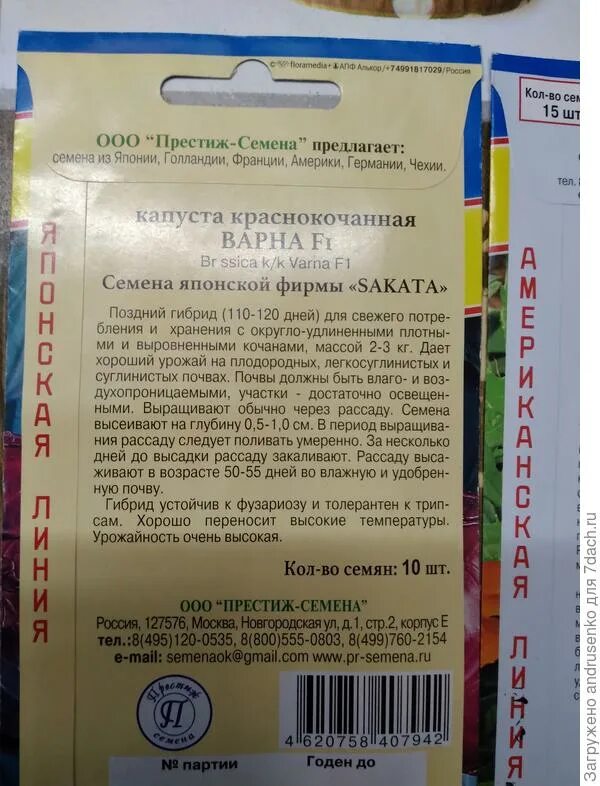 семена перца омброне. престиж семена интернет. семена цветов престиж. престиж семена интернет. семена престиж.