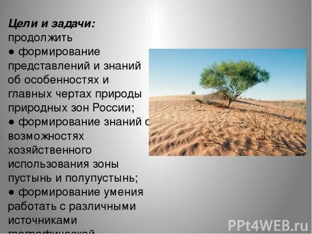 Полупустыни характеристика природной зоны россии. Характеристика полупустыни. Пустыни и полупустыни хозяйственная деятельность. Народы пустыни и полупустыни России. Особенности полупустынь.