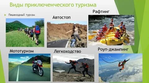 Все виды туризма