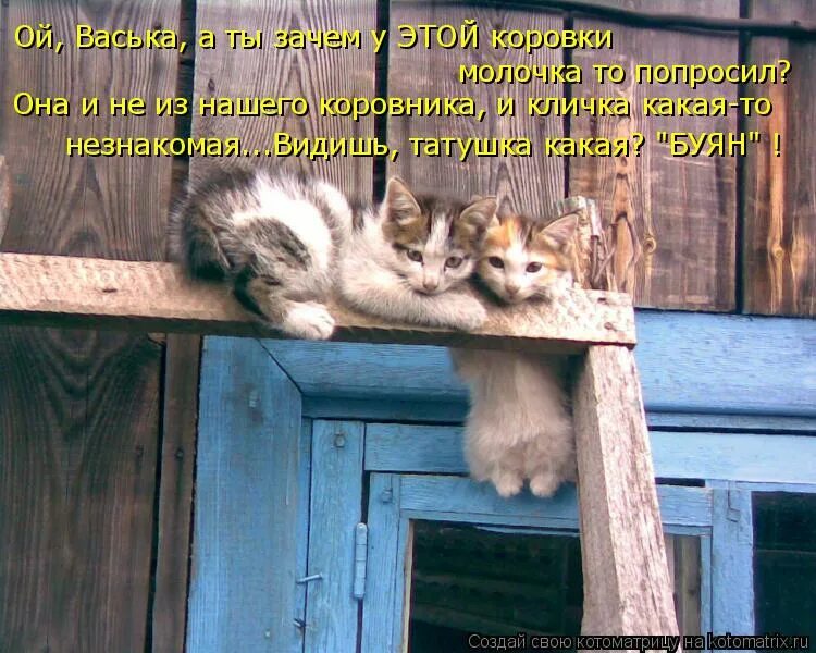 Держись дружище. Хорошо висим. Поздравляю с окончанием рабочего дня. Хорошо висим. Держись котенок.