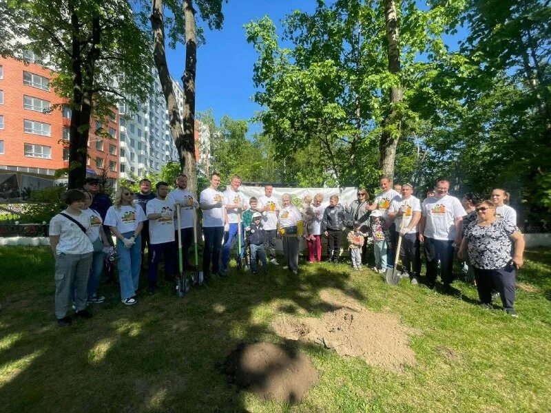 сотрудники при правительстве по строительству. содействие томилино управляющая. содействие томилино управляющая. школа 14 томилино. военно-музыкальная школа в томилино.