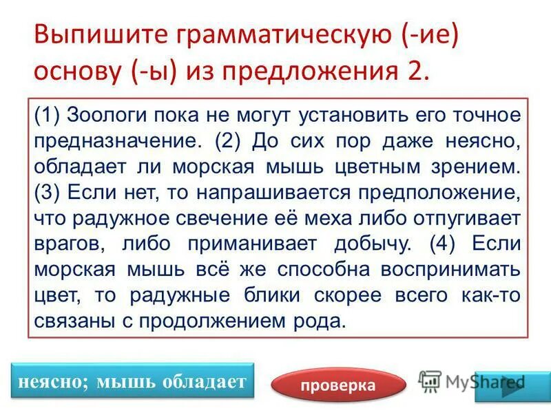 Зоологи не могут неясно напрашивается предположение. Профессия зоолог информация. Доклад про зоологию. Зоологи не могут неясно напрашивается предположение. Дж.