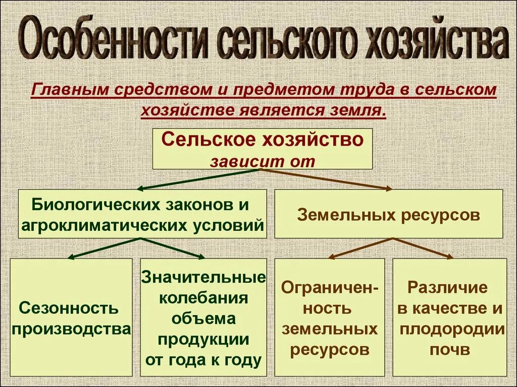 Особенности сельского хозяйства. Сельское хозяйство зависит от. Особенности растениеводства. Особенности сельского хозяйства в России. Условия сельскохозяйственного производства