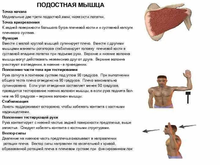 Боль в руке при поднятии и отведении