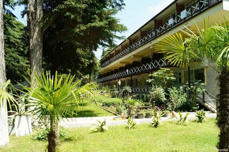 Клубный отель дельфин пицунда. Апра пицунда абхазия отель. Пицунда отели на первой линии. Молочный совхоз пицунда. Пицунда отели на первой линии.