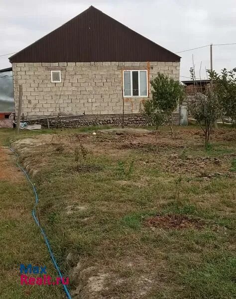 Дома поселок юг. Село южное кизлярский район. кизляр поселок южный. дом кизляр. село кизляр.