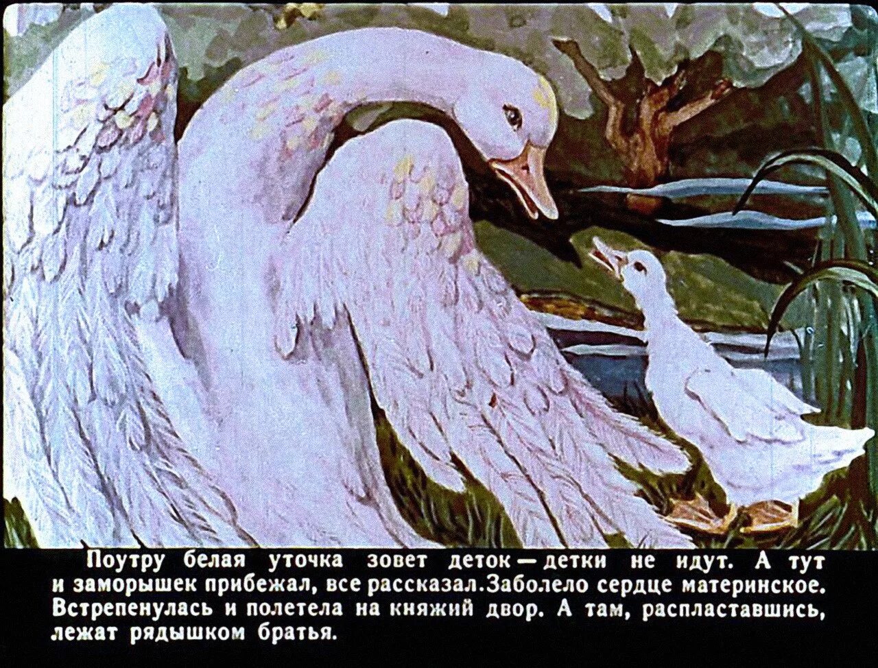 Билибин белая уточка иллюстрации. Картинка белая уточка. Картинка белая уточка. Заморышек белая уточка. Картинка белая уточка.