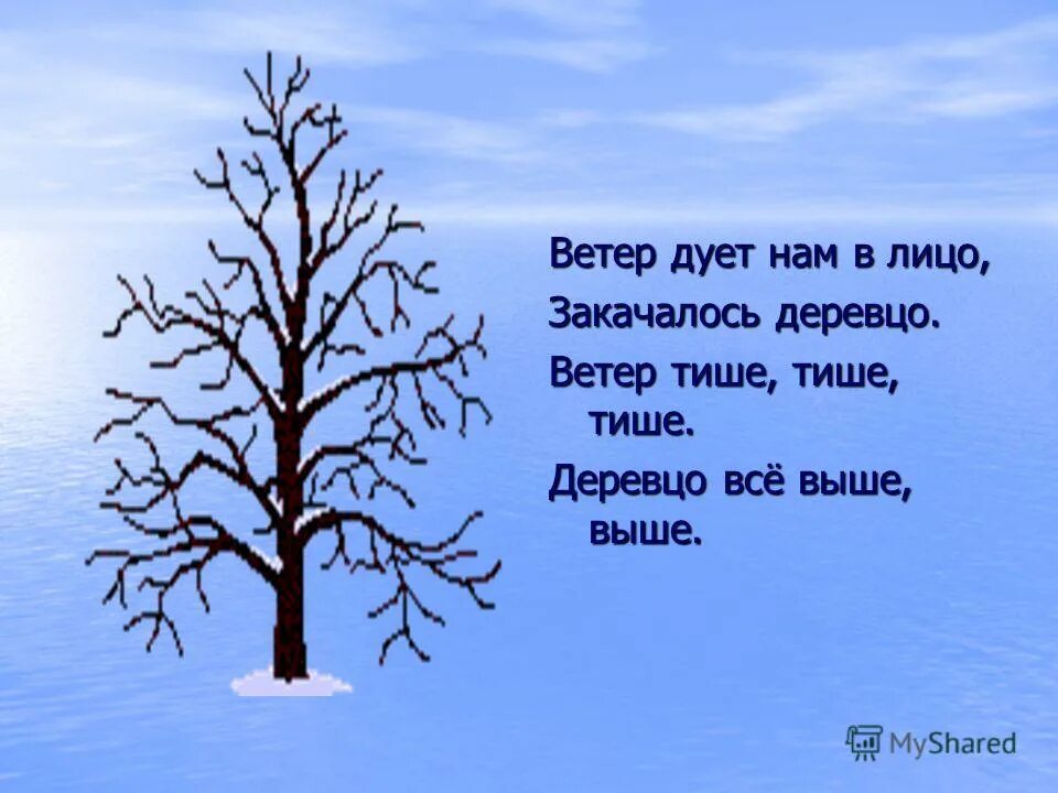 Ветер дует нам в лицо закачалось деревцо. Ветер дует Наси в леицо. Физминутка ветер дует нам в лицо. Стихотворение ветер дует нам в лицо.