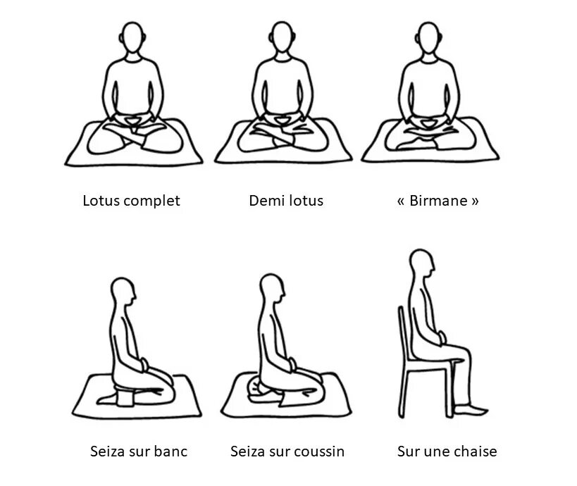 Поза дзадзэн. Позы для медитации. Сейдза поза в медитации. Дзадзэн на стуле. Крутые повороты дзен рассказ