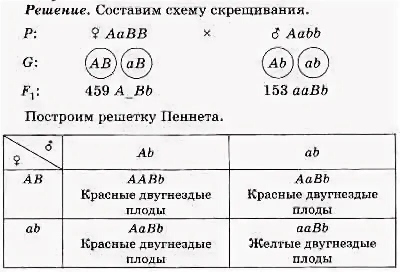 Скрестили растения томата с генотипами аавв. Генотип томата. томаты гибридное скрещивание. скрещиваются особи ааbb и aabb.. при скрещивании особей с генотипами aabb с aabb.