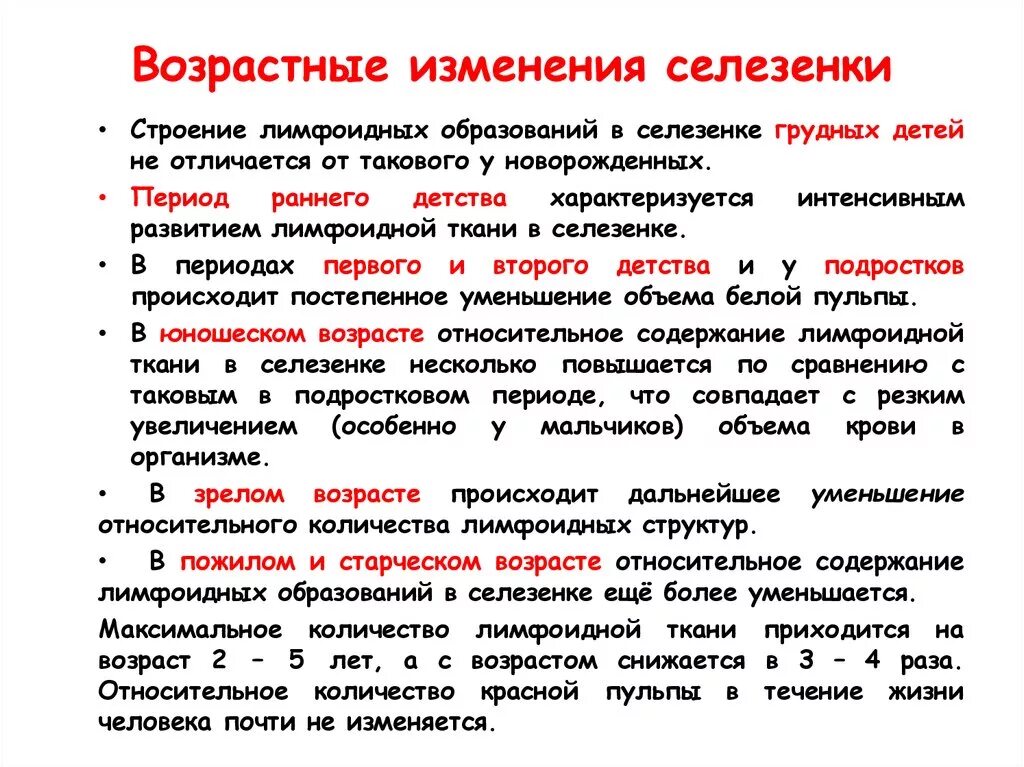 Возрастные изменения функций. Возрастные изменения селезенки гистология. Возрастные особенности селезенки. Особенности селезенки у детей.