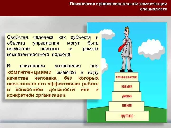 Профессиональные компетенции госслужащего. Профессионализм и компетентность государственных служащих. Навыки государственного служащего. Компетентность и компетенция психология.